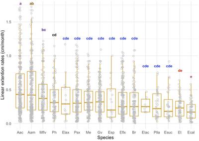 Variable Growth Across Species and Life Stages in Caribbean Reef Octocorals